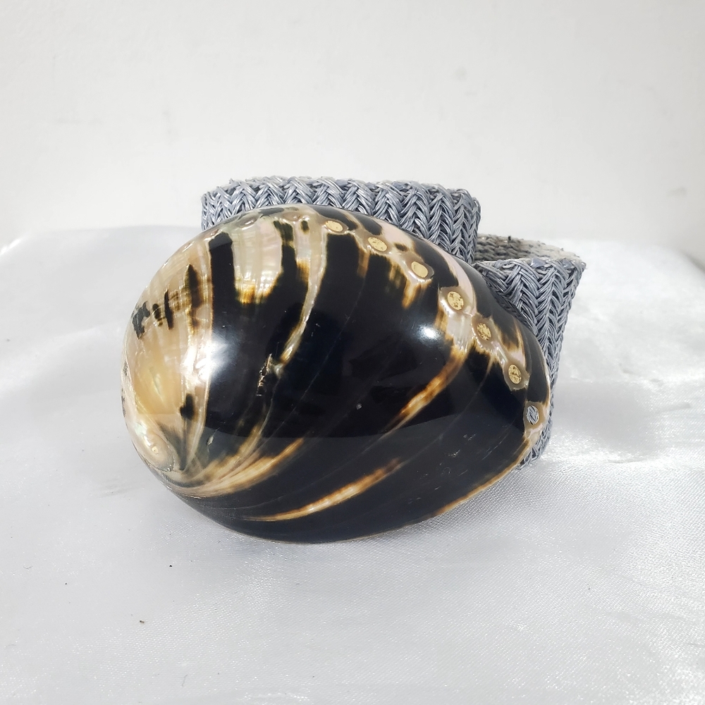 Vtg Charming Belts of Beverly Hills Inc Elastic Stretch Belt Conch Shell Buckle